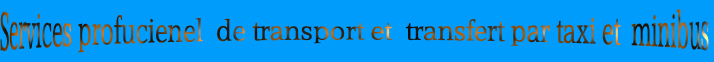 services professionel de transport par taxi au maroc